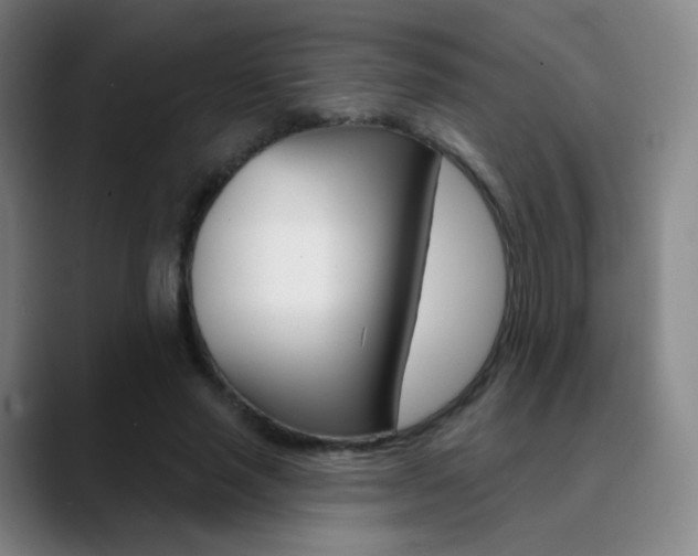 X0000090750637200707201032