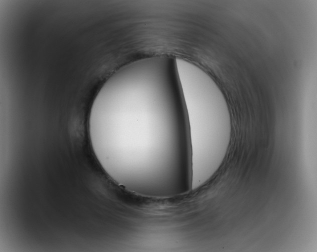 X0000090750642200707201032