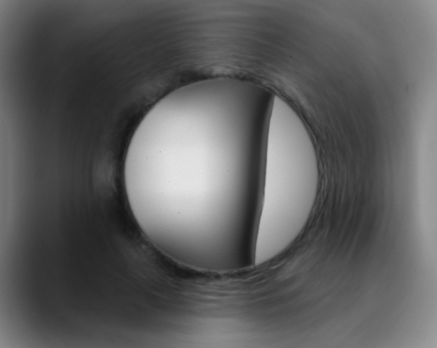X0000090750643200707201032