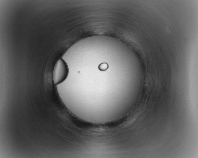 X0000090750646200707201032