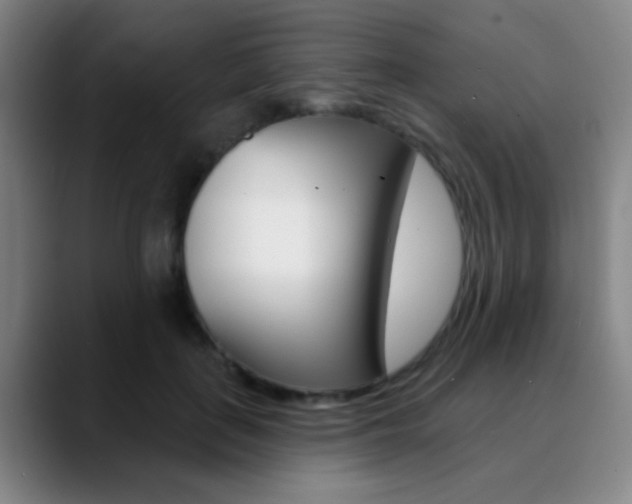 X0000090750651200707201032