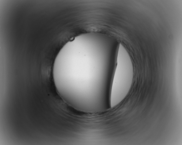 X0000090750652200707201032