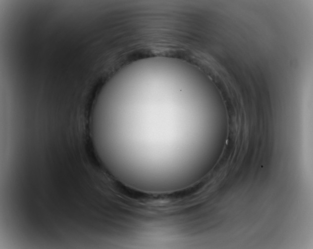 X0000090750653200707201032
