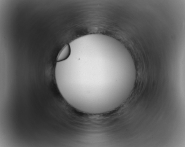 X0000090750659200707201032