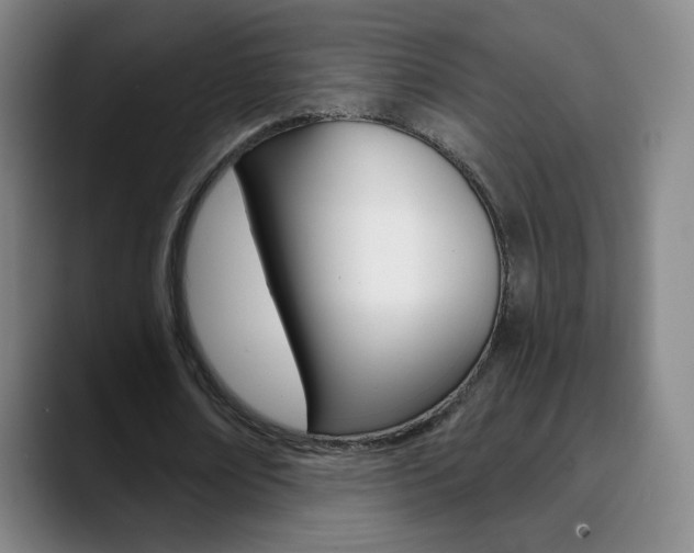 X0000090750674200707201032