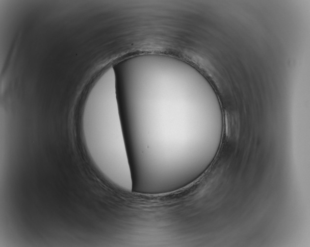 X0000090750675200707201032