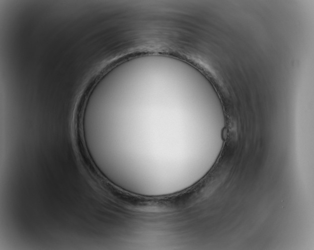 X0000090750678200707201032