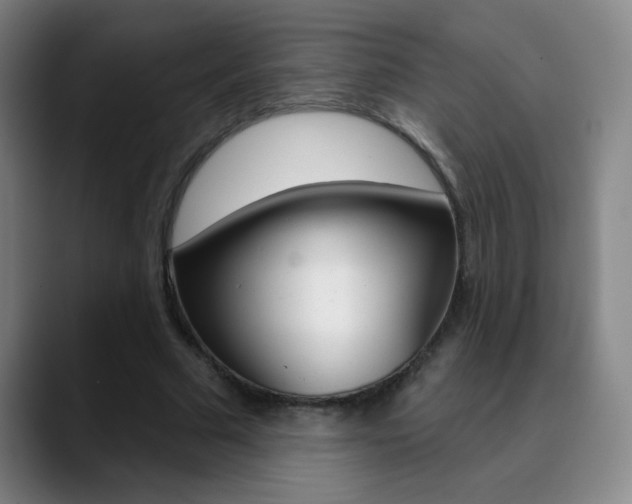 X0000090750681200707201032