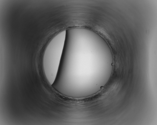 X0000090750683200707201032