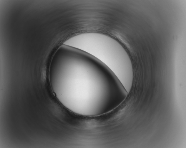 X0000090750685200707201032