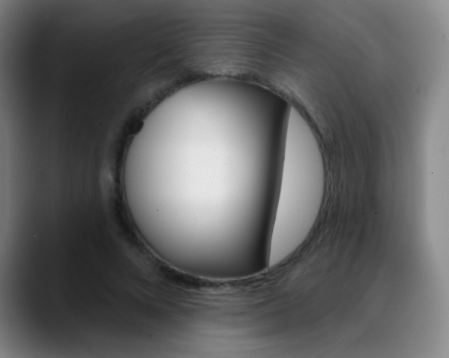 X0000090750688200707201032