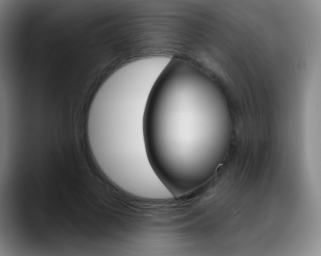 X0000090750693200707201031