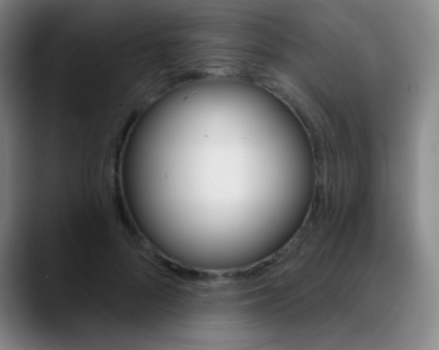 X0000090750696200707201031