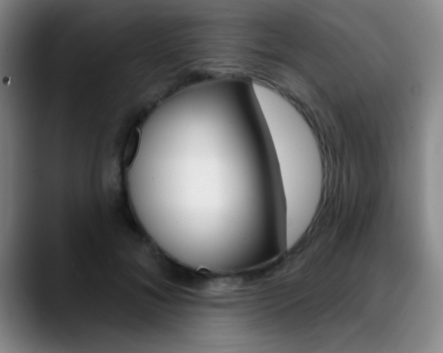 X0000090750700200707201031