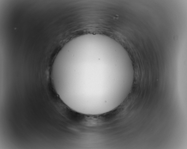 X0000090750703200707201031
