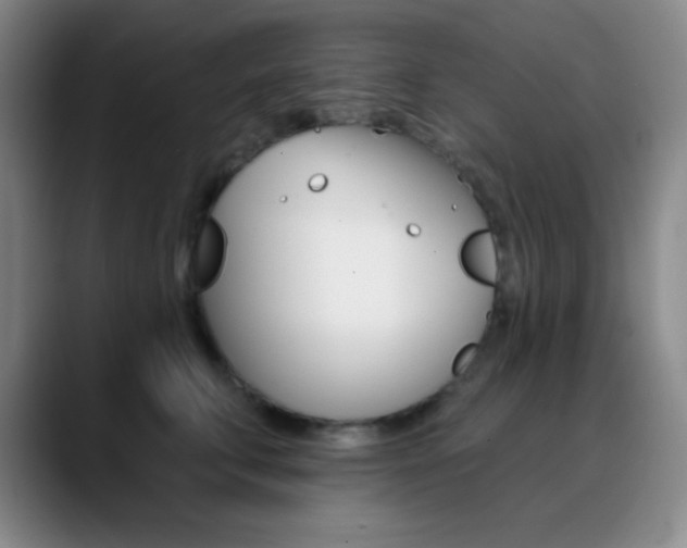 X0000090750711200707201031