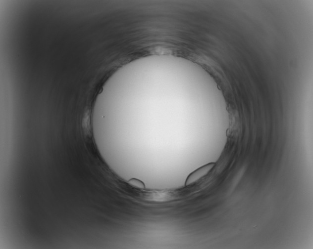 X0000090750717200707201031