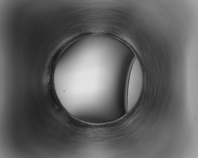 X0000090750723200707201031