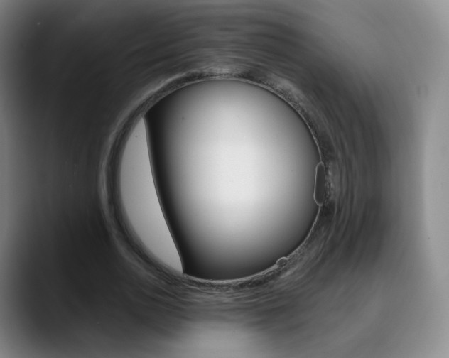 X0000090750726200707201031