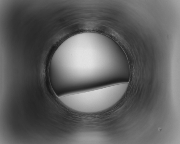 X0000090750727200707201031