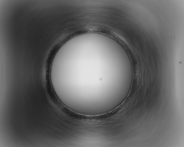 X0000090750730200707201031
