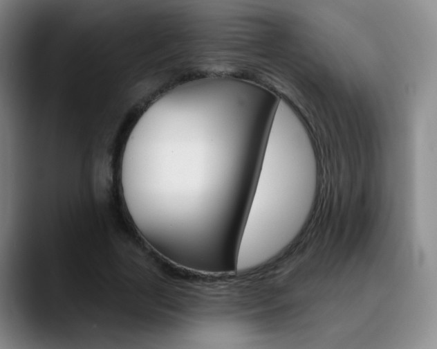 X0000090750731200707201031