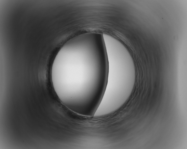 X0000090750732200707201031