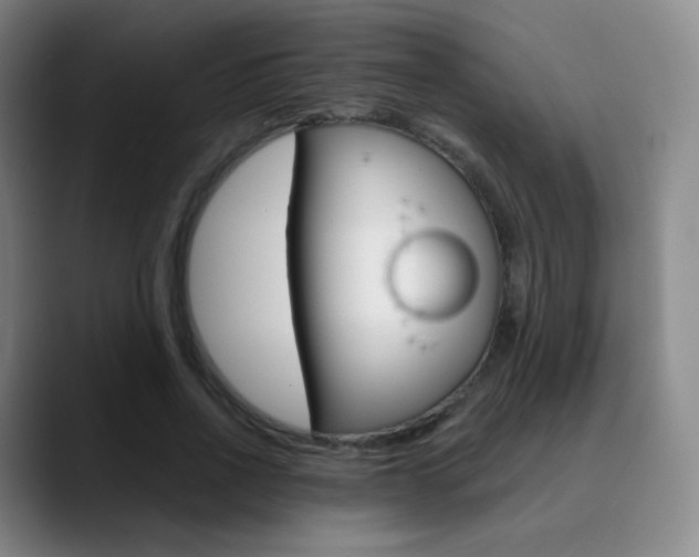 X0000090750734200707201031