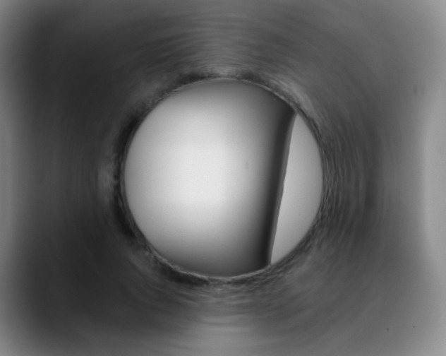 X0000090750736200707201031