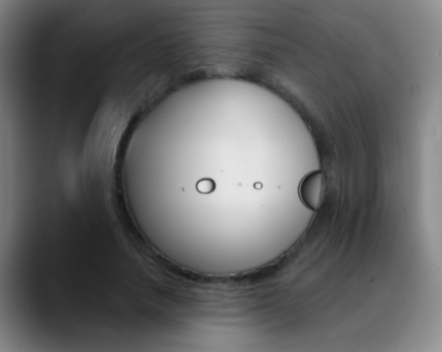 X0000090750738200707201031