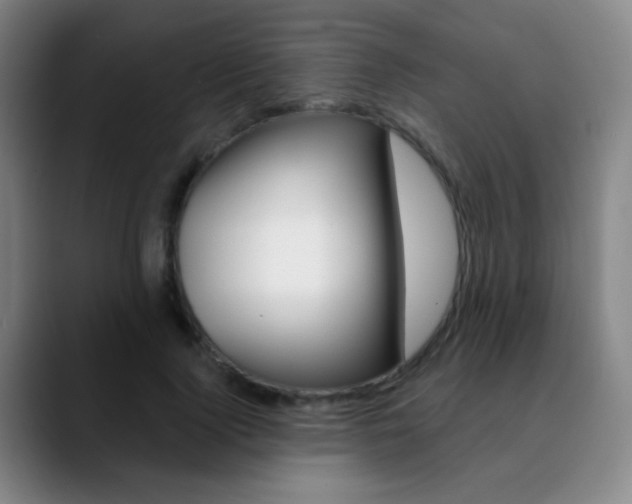 X0000090750740200707201031