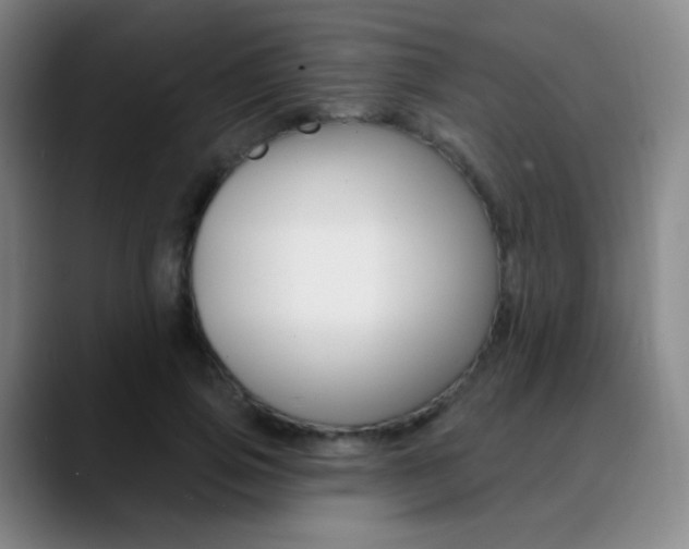 X0000090750741200707201031