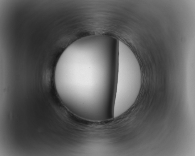 X0000090750742200707201031
