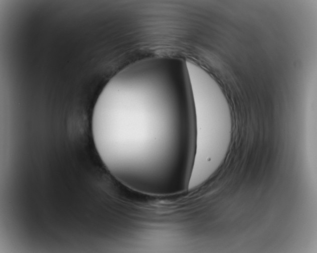 X0000090750748200707201031