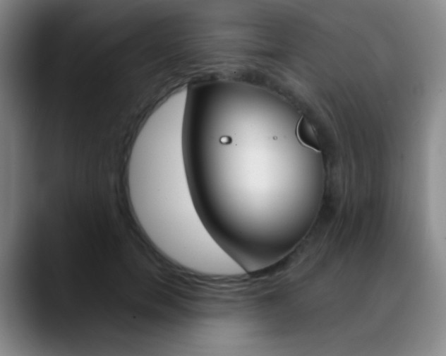 X0000090750750200707201031