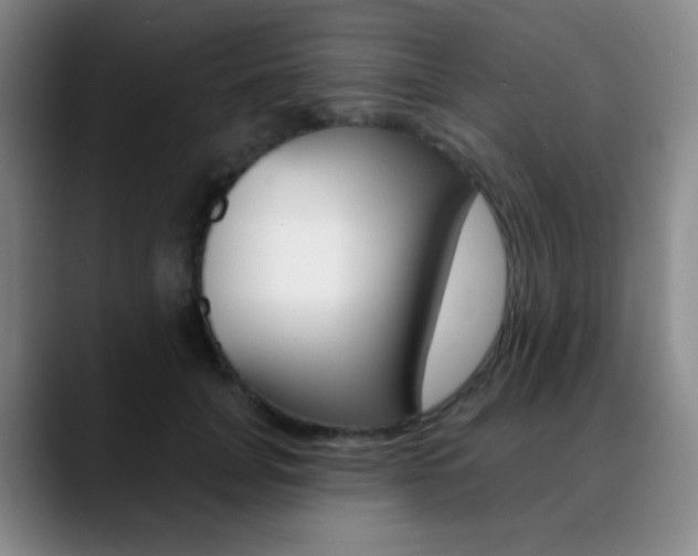 X0000090750751200707201031