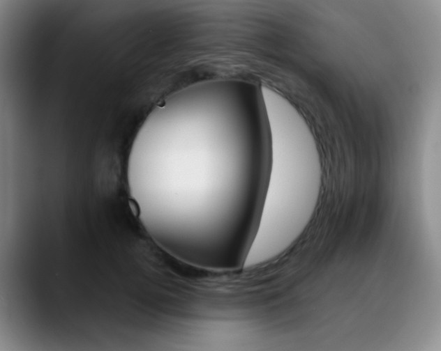 X0000090750752200707201031