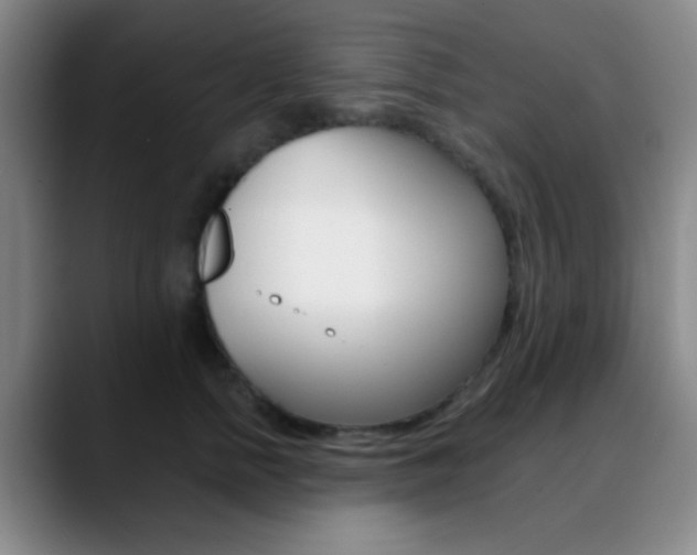 X0000090750758200707201031