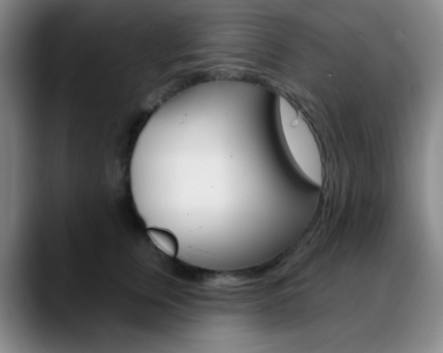 X0000090750759200707201031