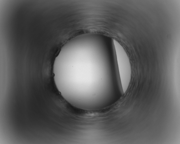 X0000090750760200707201031