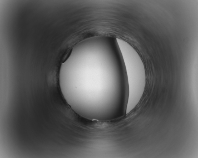 X0000090750762200707201031