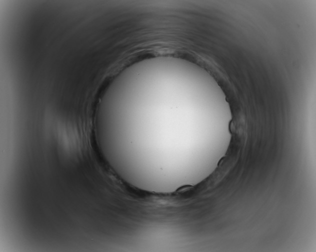 X0000090750763200707201031