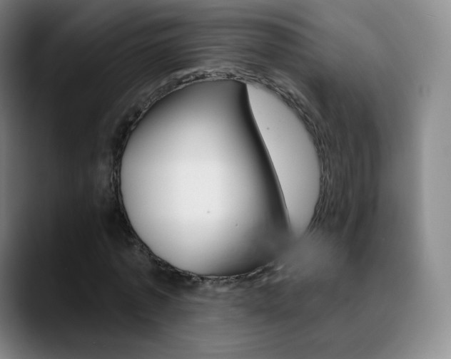 X0000090750773200707201031