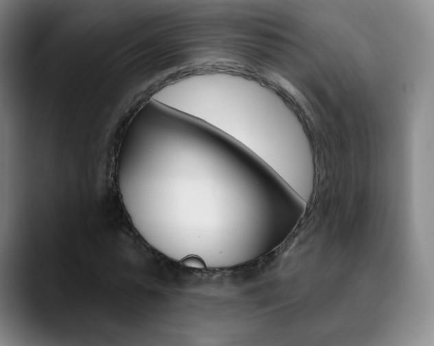 X0000090750775200707201030