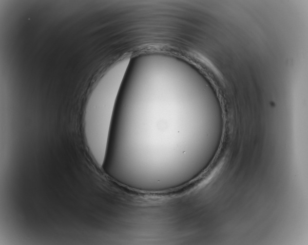 X0000090750777200707201030