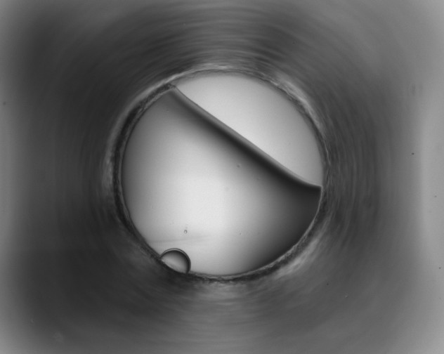 X0000090750779200707201030
