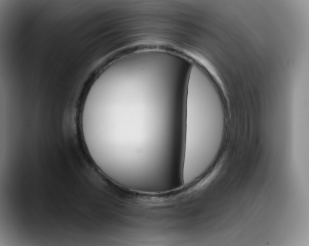 X0000090750783200707201030