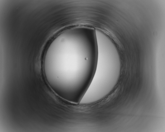 X0000090750784200707201030