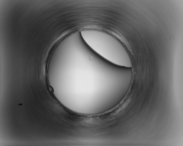 X0000090750790200707201030