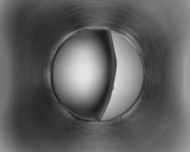 X0000090750812200707201030